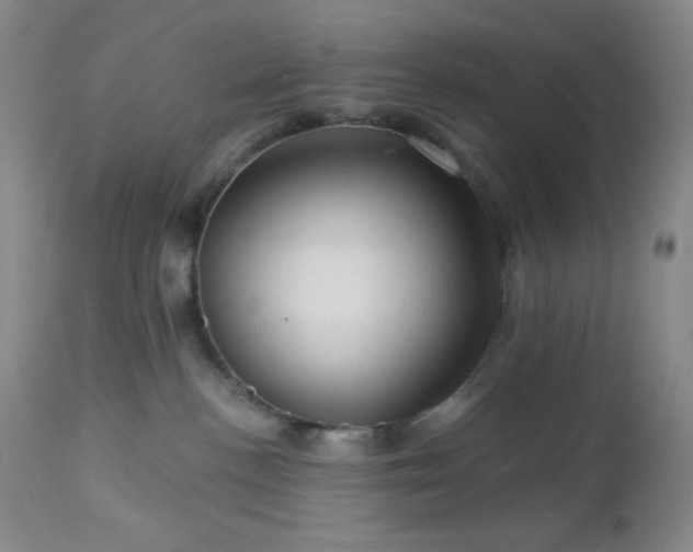 X0000113050188200908271539