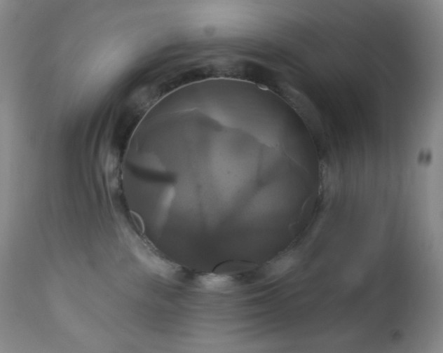 X0000113050189200908271539