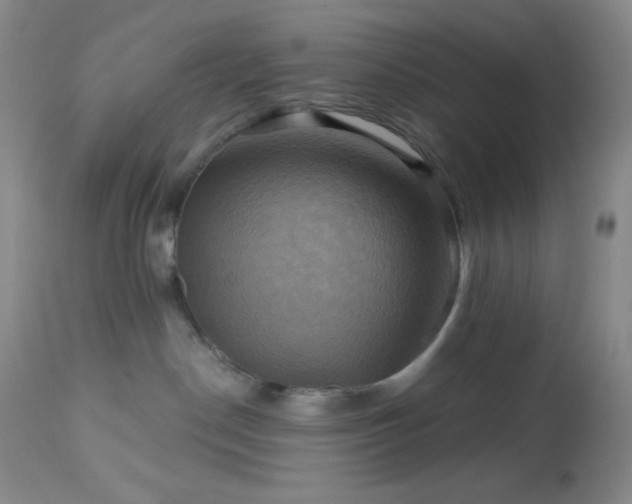 X0000113050190200908271539