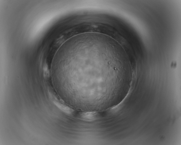 X0000113050191200908271539