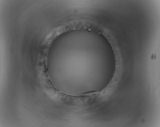 X0000113050192200908271539