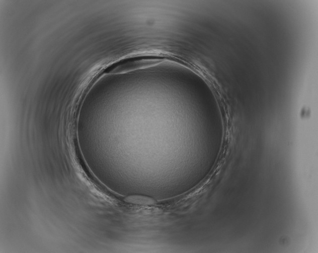 X0000113050193200908271539