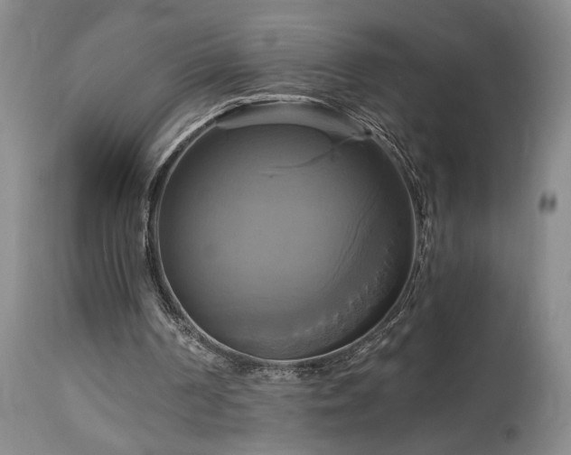 X0000113050194200908271539