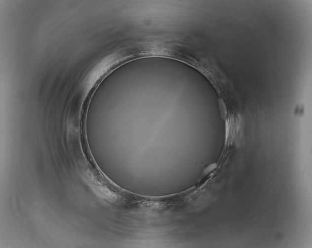 X0000113050195200908271539