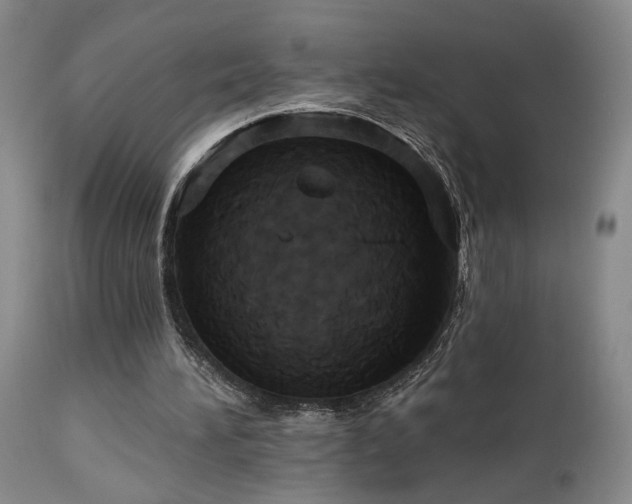 X0000113050196200908271539