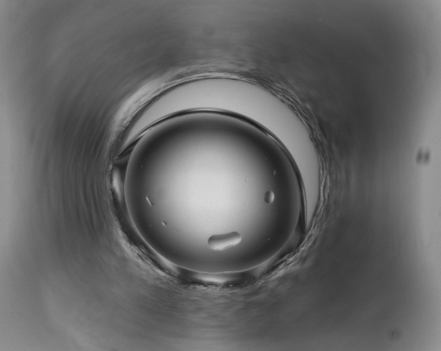 X0000113050197200908271539