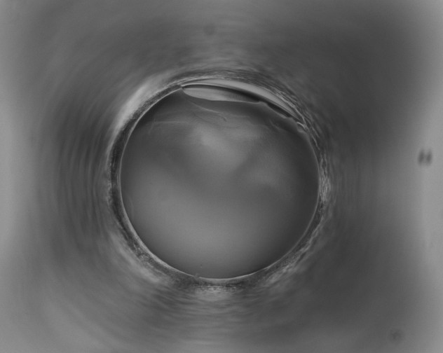 X0000113050198200908271539