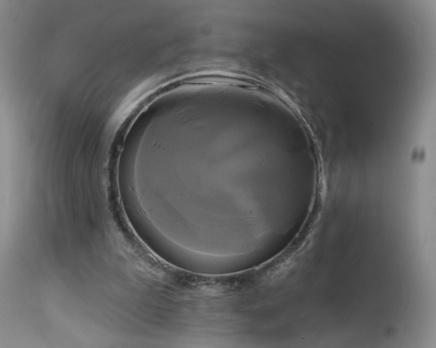 X0000113050199200908271539