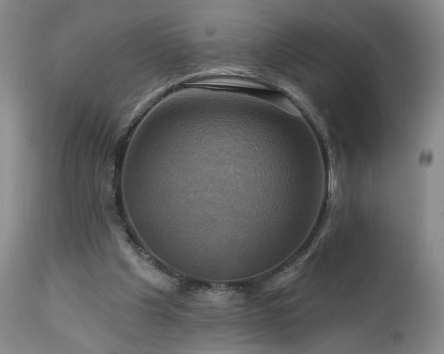 X0000113050201200908271538