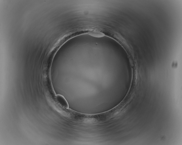 X0000113050203200908271538