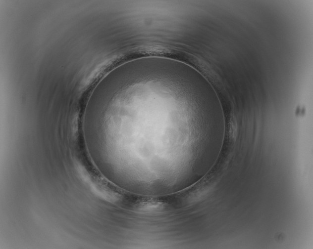 X0000113050206200908271538