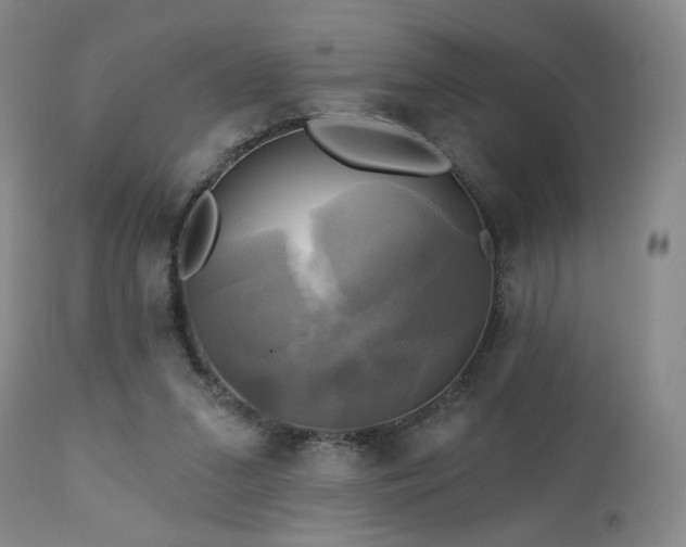 X0000113050207200908271538