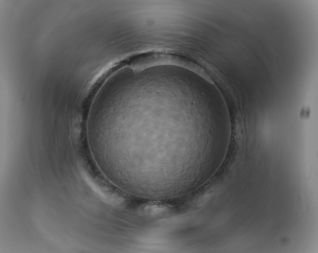 X0000113050208200908271538