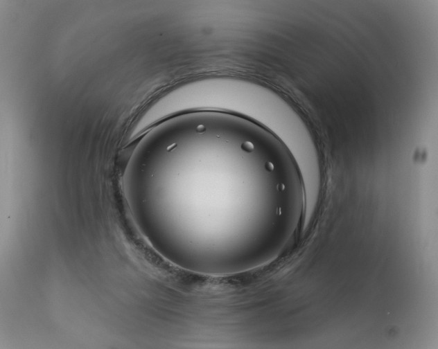 X0000113050209200908271538