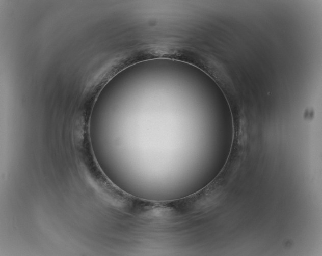 X0000113050210200908271538