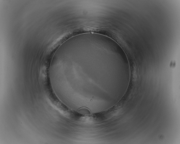 X0000113050211200908271538