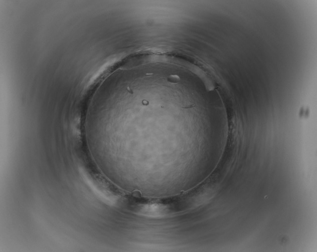 X0000113050212200908271538