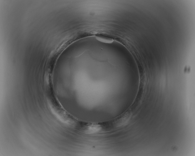 X0000113050214200908271538