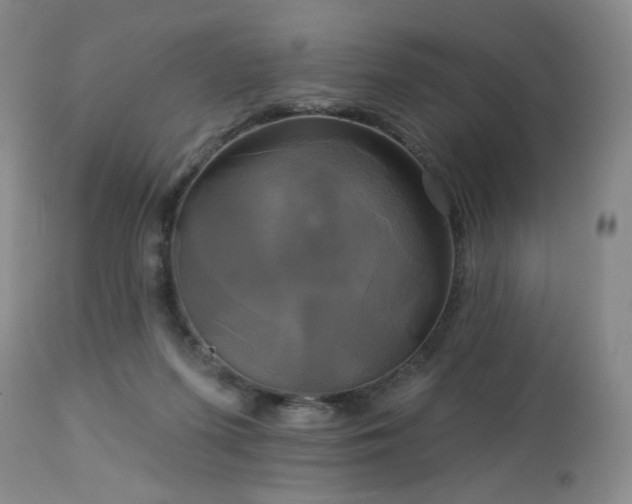 X0000113050215200908271538