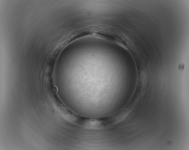 X0000113050217200908271538