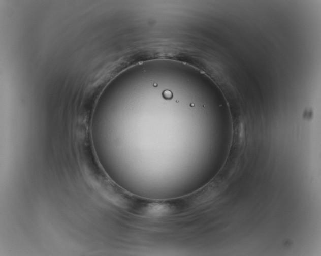 X0000113050218200908271538