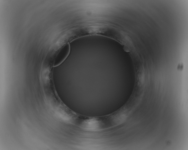 X0000113050219200908271538