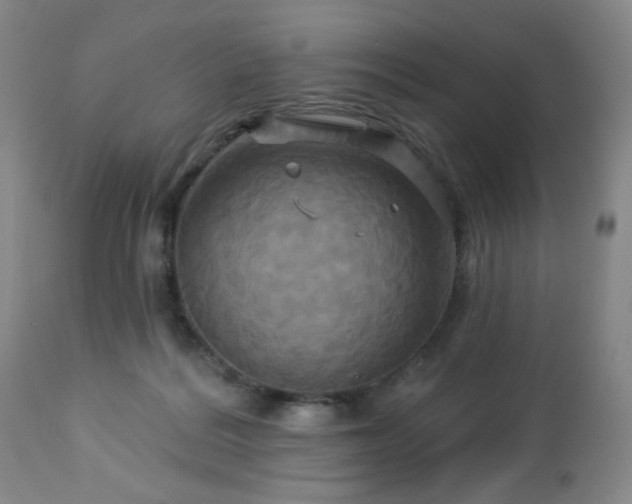 X0000113050220200908271538