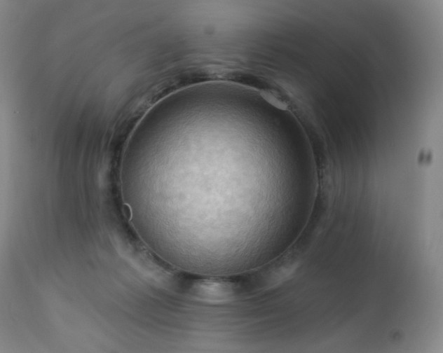 X0000113050221200908271538