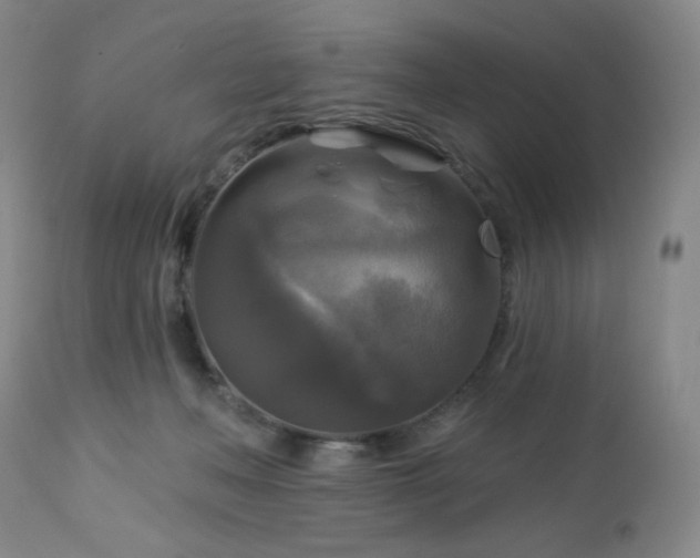 X0000113050222200908271538