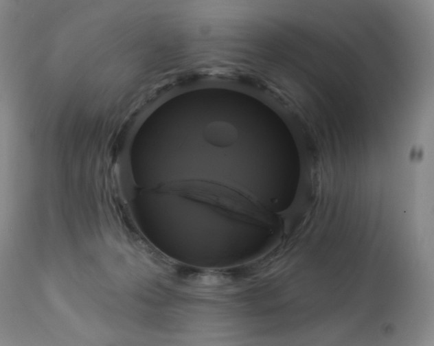 X0000113050223200908271538