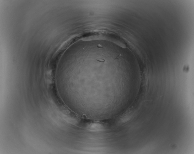 X0000113050224200908271538