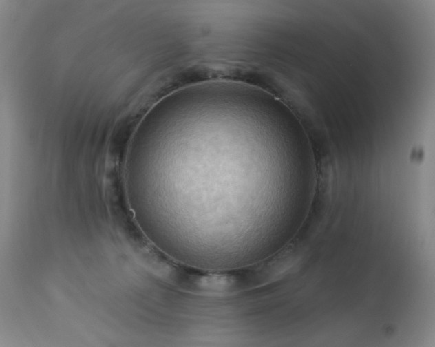 X0000113050225200908271538