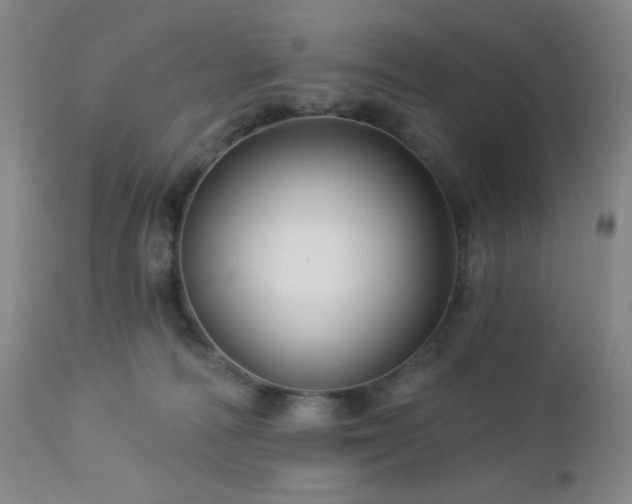 X0000113050226200908271538