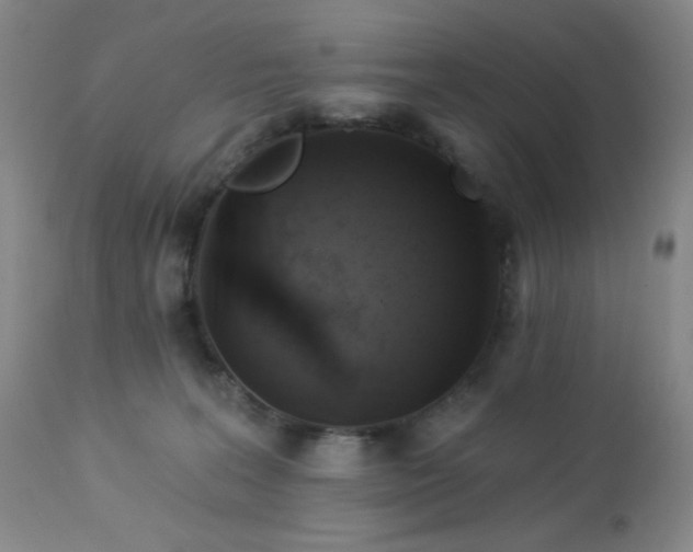 X0000113050227200908271538