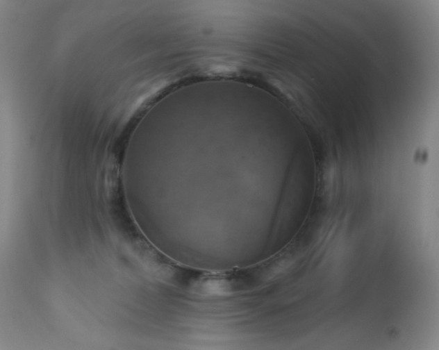 X0000113050228200908271538