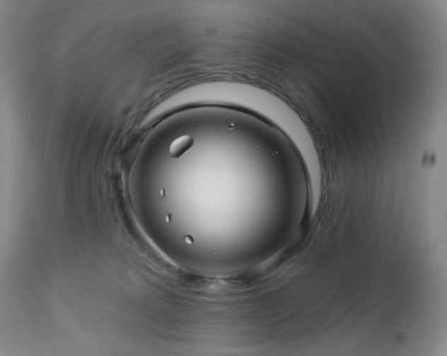 X0000113050229200908271538