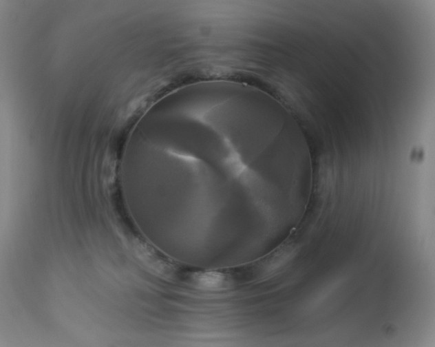 X0000113050230200908271538