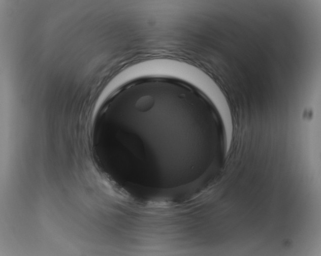 X0000113050231200908271538