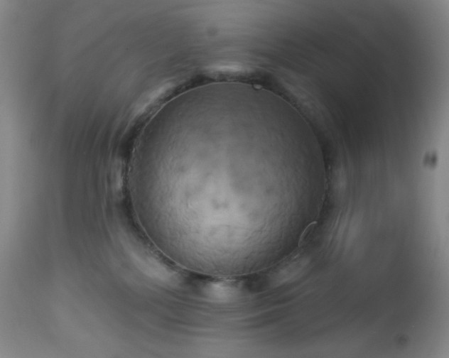 X0000113050232200908271538