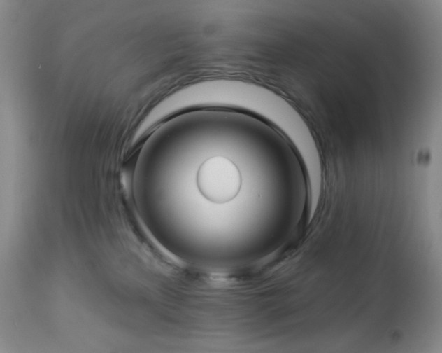 X0000113050233200908271538