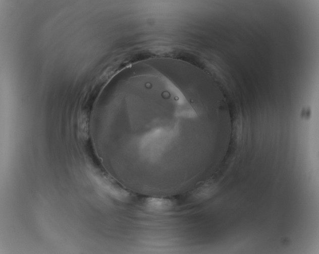 X0000113050234200908271538