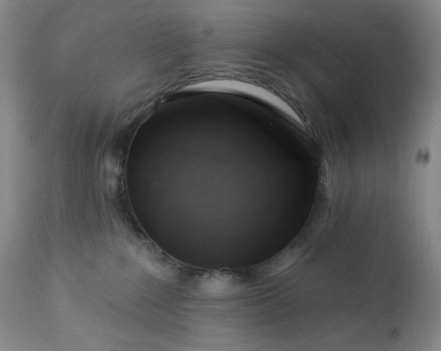 X0000113050235200908271538