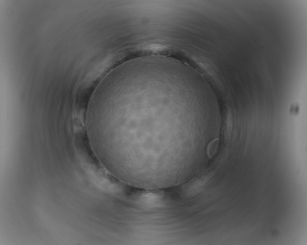 X0000113050236200908271538