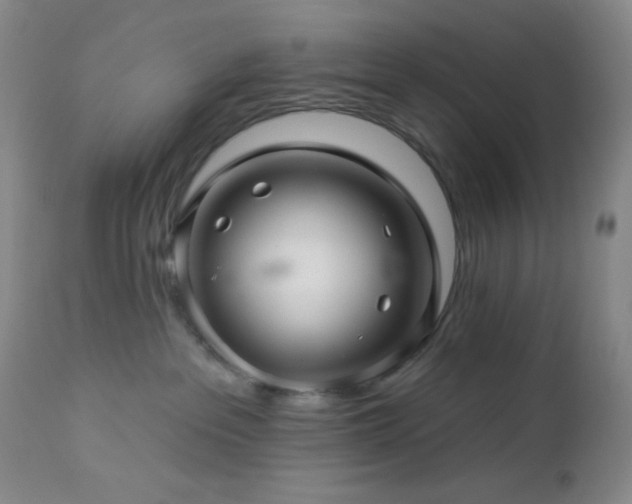 X0000113050237200908271538