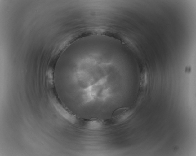 X0000113050238200908271538