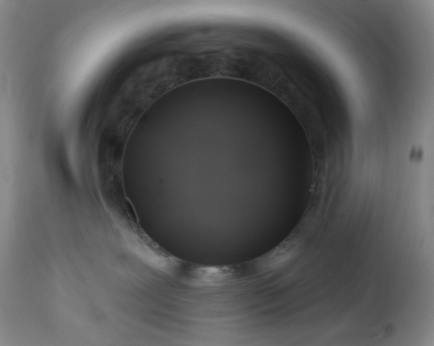 X0000113050239200908271538