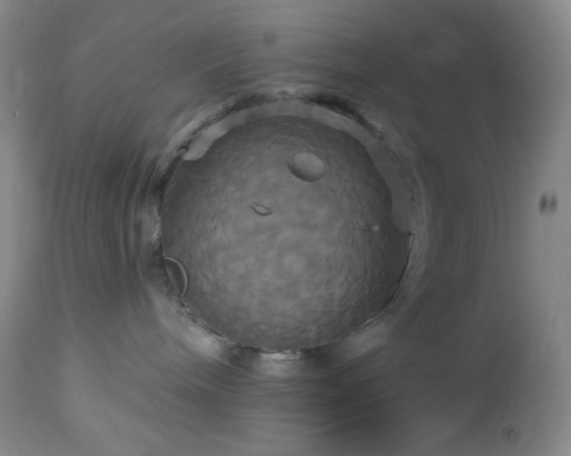 X0000113050240200908271538