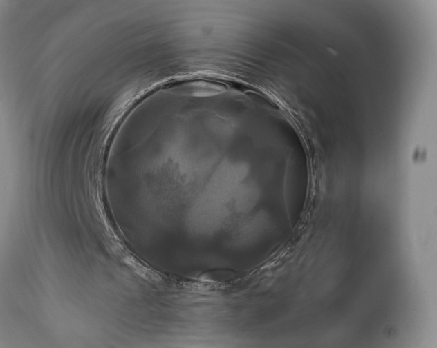 X0000113050241200908271537