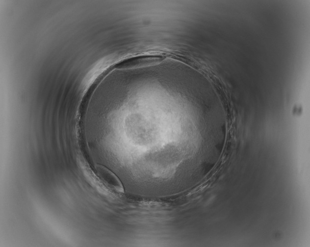 X0000113050242200908271537