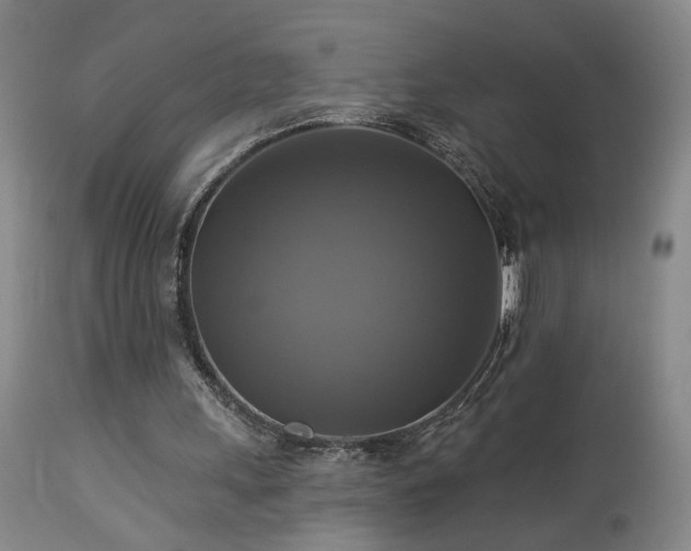 X0000113050243200908271537